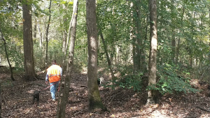 Dog Friendly hiking trails near Charlotte