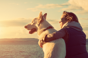 dog training process