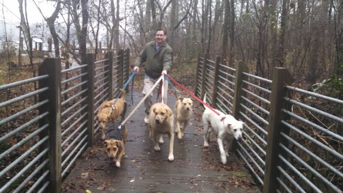 The risks of fleas and Ticks on Dogs