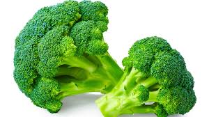 Research shows Broccoli can help dogs fight cancer